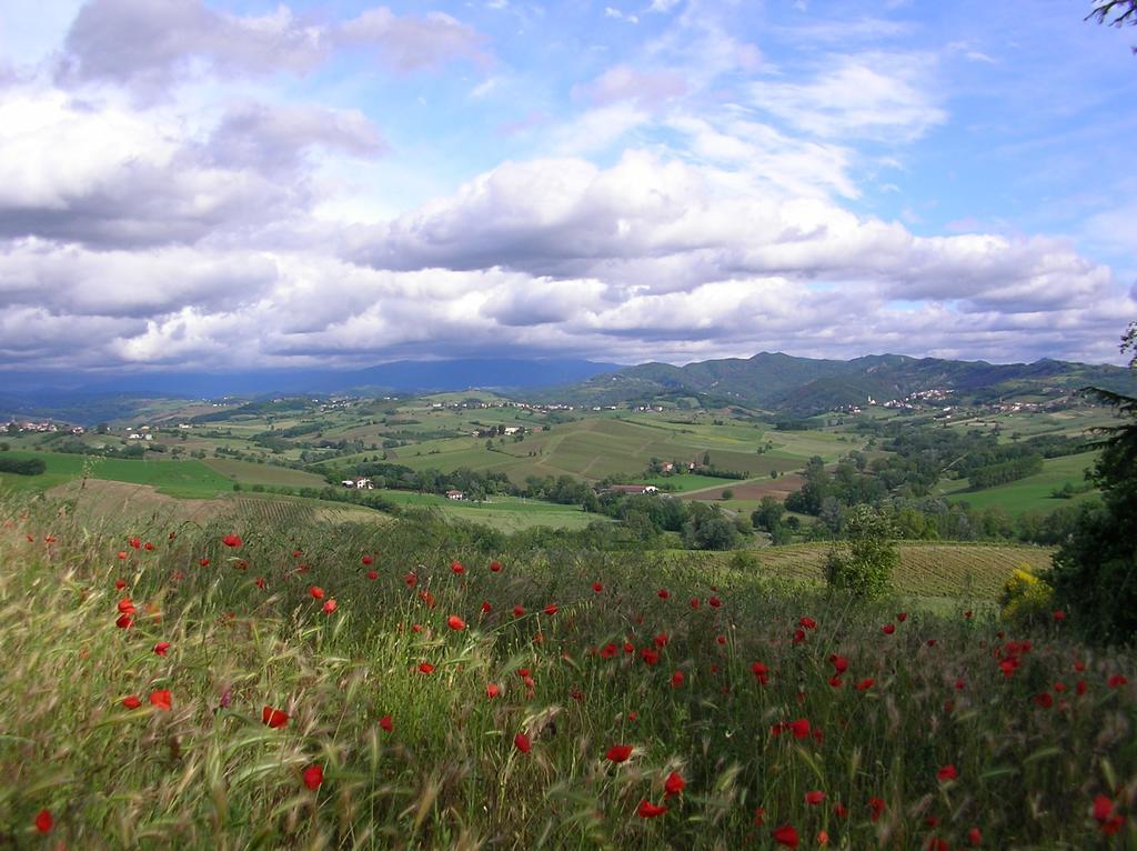 Villa Dei Romaniani Villaromagnano 外观 照片