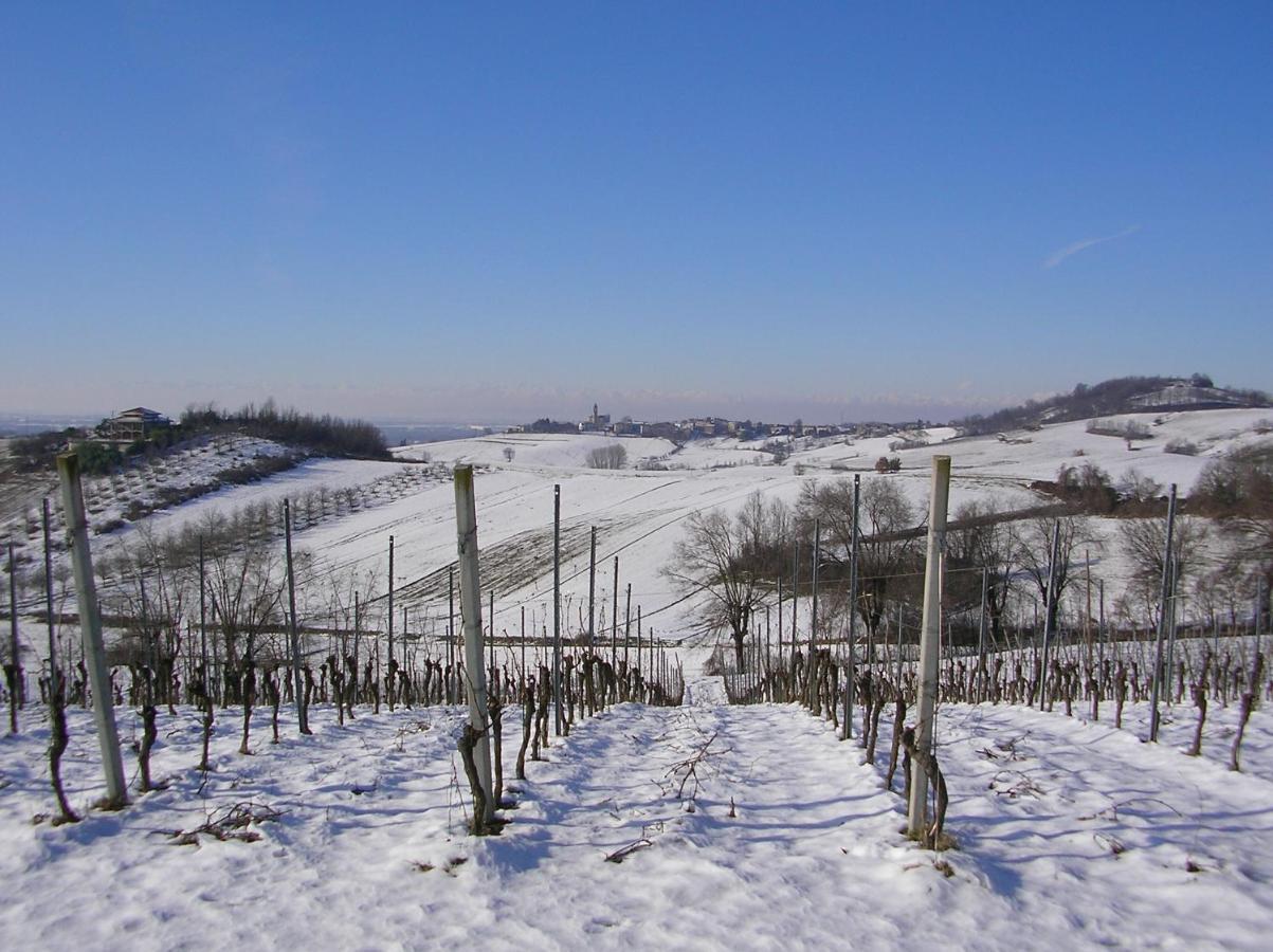 Villa Dei Romaniani Villaromagnano 外观 照片